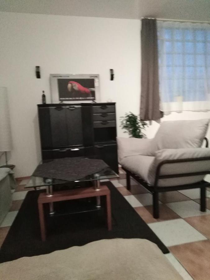 Studiowohnung, Neu Renoviert, Zentrale Lage Saarlouis Bagian luar foto