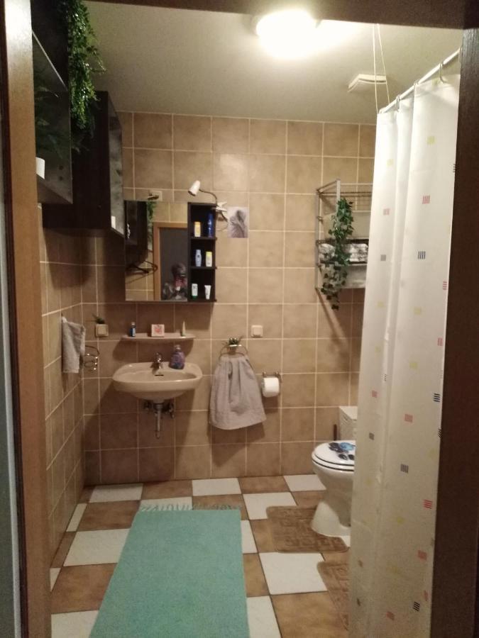 Studiowohnung, Neu Renoviert, Zentrale Lage Saarlouis Bagian luar foto